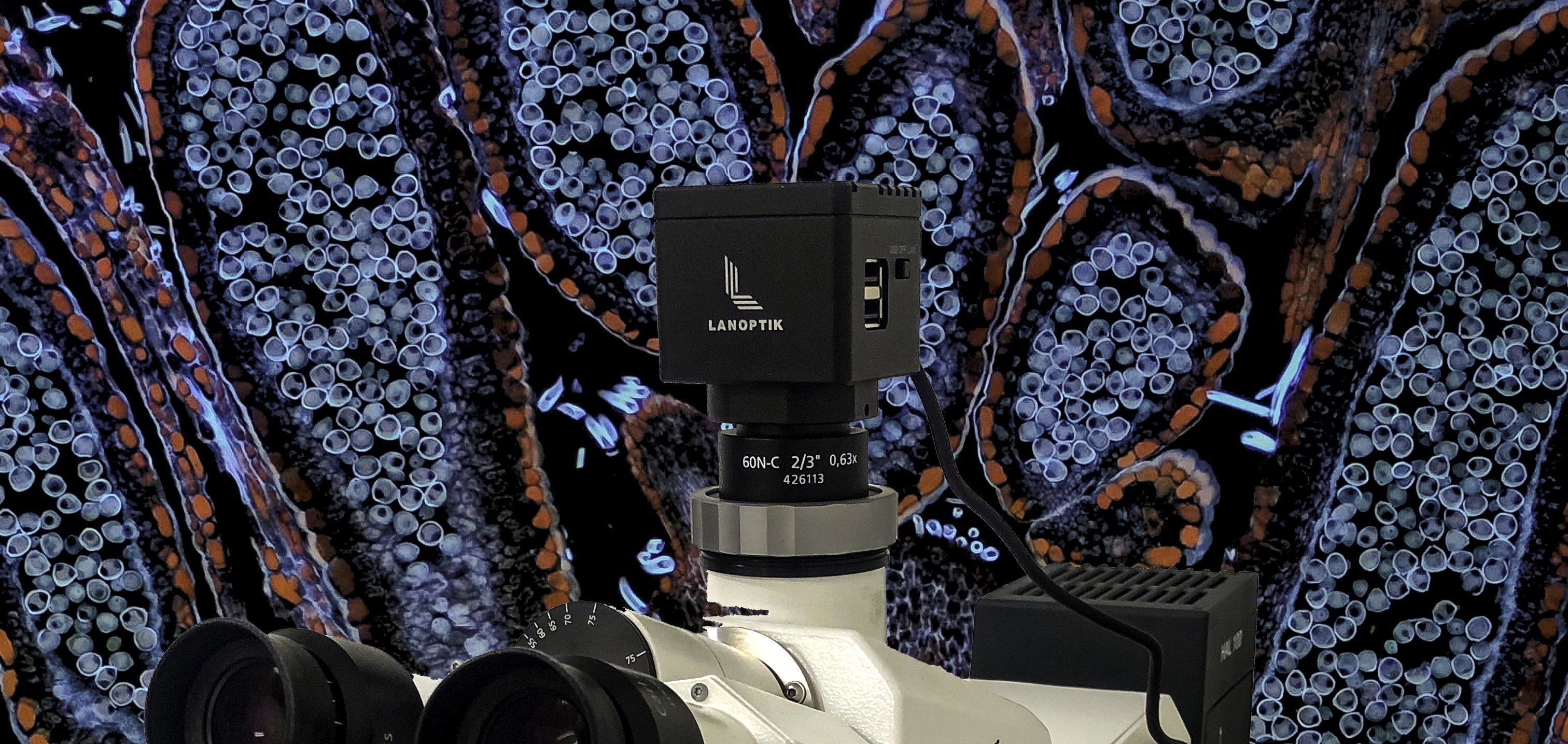 CAMARA PARA MICROSCOPIO MC4K-PRO 8 MPIXELES LANOPTIK