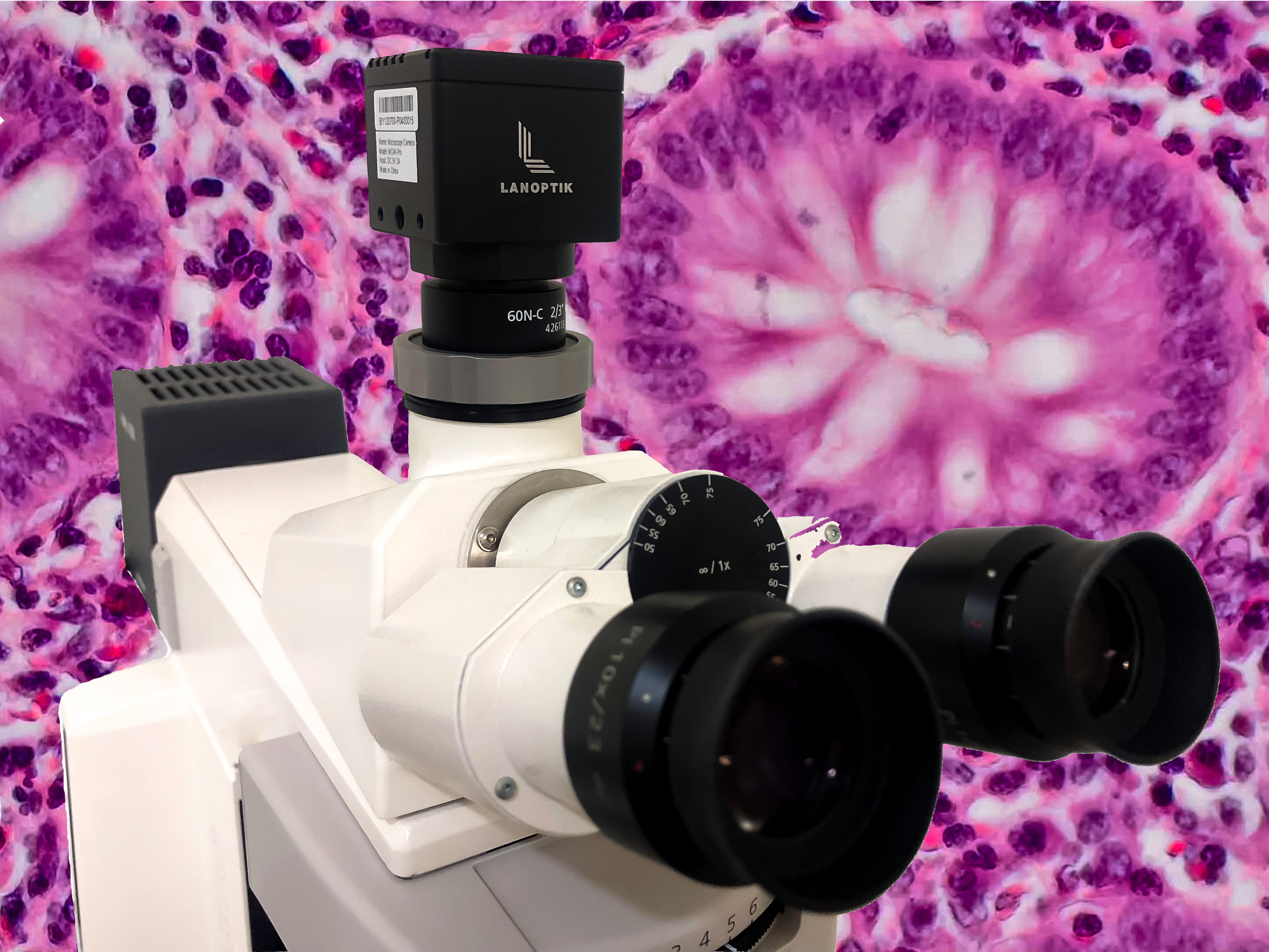 CAMARA PARA MICROSCOPIO MC4K-PRO 8 MPIXELES LANOPTIK